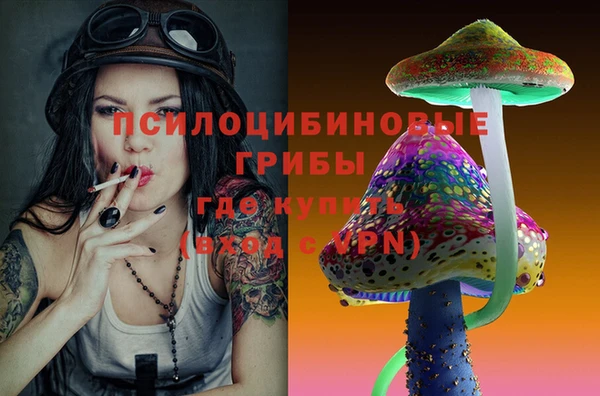 гидра Заполярный