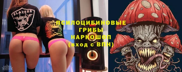mdpv Лабытнанги