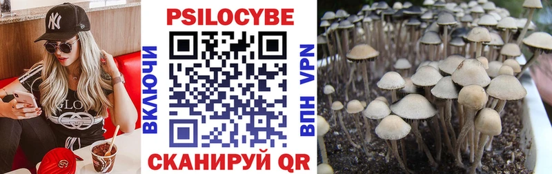 Псилоцибиновые грибы Psilocybine cubensis  мега tor  Макаров 